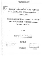 Kt 00068 KINH TẾ PHÁT TRIỂN Ở ĐÔNG VÀ ĐÔNG NAM Á I: CÁC MÔ HÌNH THỊ TRƯỜNG CŨ 1967-1997