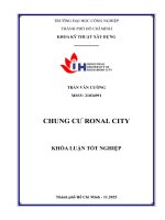 IUH - KLTN KỸ THUẬT XÂY DỰNG - CHUNG CƯ RONAL CITY