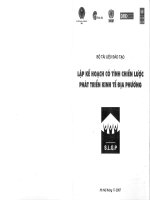 Kt 00061 LẬP KẾ HOẠCH CÓ TÍNH CHIẾN LƯỢC PHÁT TRIỂN KINH TẾ ĐỊA PHƯƠNG