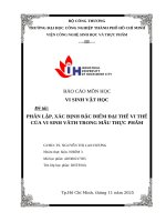 IUH - BÁO CÁO VI SINH VẬT HỌC - PHÂN LẬP, XÁC ĐỊNH ĐẶC ĐIỂM ĐẠI THỂ VI THỂ CỦA VI SINH VẬT TRONG MẪU THỰC PHẨM