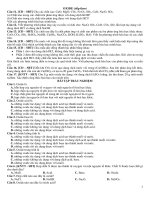 Oxide 2 Đề (60 bản)