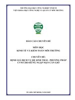 IUH - BÁO CÁO CHUYÊN ĐỀ KINH TẾ VÀ KIỂM TOÁN MÔI TRƯỜNG - ĐỊNH GIÁ DỊCH VỤ HỆ SINH THÁI - PHƯƠNG PHÁP CVM CHO RỪNG NGẬP MẶN CẦN GIỜ