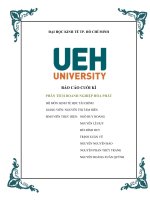 Báo cáo cuối kì phân tích doanh nghiệp hòa phát