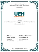 Đề tài phân tích tài chính và Định giá công ty cổ phần Đầu tư thế giới di Động (mã chứng khoán mwg)