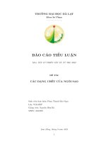 Báo cáo tiểu luận môn vật lý thiên văn và vũ trụ học Đề tài các dạng chết của ngôi sao