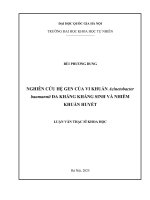 Luận văn nghiên cứu hệ gen của vi khuẩn acinetobacter baumannii Đa kháng kháng sinh và nhiễm khuẩn huyết