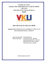 Đề tài phân tích báo cáo tài chính của công ty cổ phần bánh kẹo hải hà   haihaco