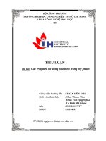 Tiểu luận Đề tài các polymer sử dụng phổ biến trong mỹ phẩm