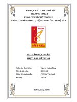 Báo cáo công ty cpđt & pt công nghệ nam vượng