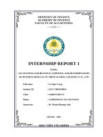 Accounting for revenue, expenses, and determination of business results at shine global logistics co , ltd
