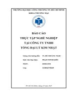 Báo cáo thực tập nghề nghiệp tại công ty tnhh tổng Đại lý kim nhật