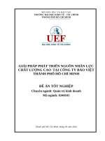 Giải pháp phát triển nguồn nhân lực chất lượng cao tại công ty bảo việt thành phố hồ chí minh