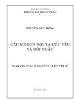 Các môđun nội xạ cốt yếu và Đối ngẫu