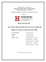 Dự Án quy hoạch nhà máy sản xuất thiết bị Điện của công ty pichaz electric