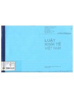 Kt 00055 LUẬT KINH TẾ VIỆT NAM