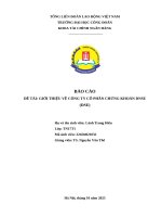 Báo cáo Đề tài giới thiệu về công ty cổ phần chứng khoán dnse (dse)
