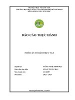 Báo cáo thực hành nuôi cấy tế bào thực vật
