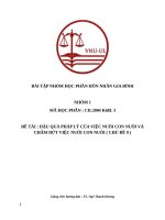Đề tài  hậu quả pháp lý của việc nuôi con nuôi và chấm dứt việc nuôi con nuôi ( chủ Đề 9 )