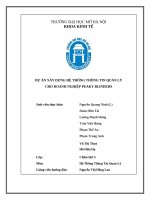 Dự Án xây dựng hệ thống thông tin quản lý cho doanh nghiệp peaky blinders