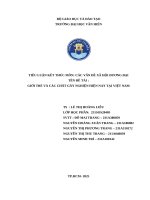 Đề tài  giới trẻ và các chất gây nghiện hiện nay tại việt nam