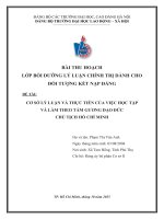 Cơ sở lý luận và thực tiễn của việc học tập và làm theo tấm gương Đạo Đức chủ tịch hồ chí minh