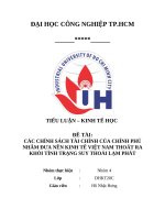 Các chính sách tài chính của chính phủ nhằm Đưa nền kinh tế việt nam thoát ra khỏi tình trạng suy thoái lạm phát