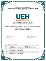 Phân tích tài chính và Định giá công ty cổ phần Đầu tư thế giới di Động (mã chứng khoán mwg)