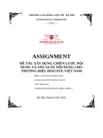 Đề tài xây dựng chiến lược nội dung và sản xuất nội dung cho thương hiệu bingxue việt nam