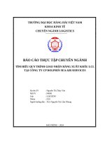 Báo cáo thực tập chuyên ngành tìm hiểu quy trình giao nhận hàng xuất khẩu lcl tại công ty cp dolphin sea air services