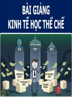 Bài Giảng - Kinh Tế Học Thể Chế ( combo full slides )