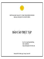 Báo cáo thực tập  Đơn vị thực tập công ty tnhh ctld  creative technology logistics and development