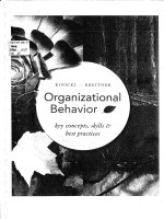 Kt 00087 KINICKI KREITNER Organizational Behavior key concepts, skills & best practices
