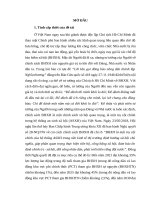 LV ThS XHH - Tham gia Bảo hiểm xã hội tự nguyện hiện nay của người lao động ở huyện Đoan Hùng, tỉnh Phú Thọ