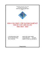 Báo cáo thực tập ngành nghề kỹ thuật vật liệu kc295