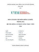 Báo cáo bài tập môn Động cơ Đốt trong (f2) Đề tài Động cơ phun xăng trực tiếp gdi