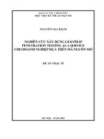 Nghiên cứu xây dựng giải pháp penetration testing as a service cho doanh nghiệp dựa trên mã nguồn mở