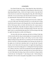 Tiểu luận - Nghiên cứu chiến lược marketing xanh với sản phẩm xe điện của VinFast