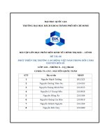 Phát triển thị trường lao Động việt nam trong bối cảnh chuyển Đổi số