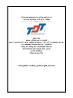 Báo cáo môn xã hội học kinh tế nguyên nhân và thực trạng ngập lụt của hộ gia Đình tại khu vực Đô thị thành phố hồ chí minh