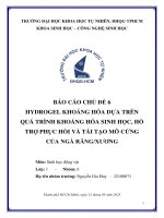 Hydrogel khoáng hóa dựa trên quá trình khoáng hóa sinh học, hỗ trợ phục hồi và tái tạo mô cứng của ngà răngxương