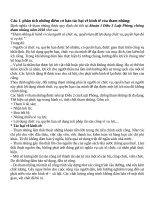 Đề tự luật lhsự 1