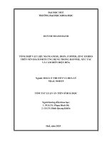 Tóm tắt tổng hợp vật liệu manganese, iron, copper, zinc oxides trên nền diatomite Ứng dụng trong hấp phụ, xúc tác và cảm biến Điện hóa