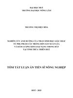 Tóm tắt nghiên cứu Ảnh hƣởng của than sinh học giàu silic từ phụ phẩm cây trồng Đến sản xuất löa và hàm lƣợng kim loại nặng trong Đất tại tỉnh thừa thiên huế