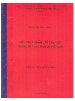 BIỆN PHÁP KHẨN CẤP TẠM THỜI TRONG TỐ TỤNG DÂN SỰ VIỆT NAM