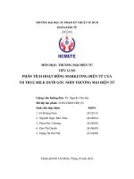 Tiểu luận phân tích hoạt Động marketing Điện tử của th true milk dưới góc nhìn thương mại Điện tử