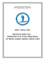 Nội dung báo cáo trình bày (có ví dụ minh họa) từ Đồng nghĩa trong tiếng việt