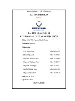 Bài tiểu luận cuối kì kỹ năng giao tiếp và làm việc nhóm