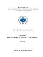 Đề tài phân tích chiến lược bán hàng của cellphones
