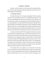 Tiểu luận HTTTQL – Phân tích các thử thách khi triển khai HTTTTC. Hãy đề xuất một số giải pháp dưới góc độ quản lý cho các vấn đề đó