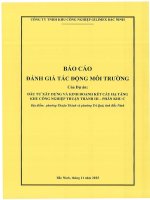 Báo cáo Đánh giá tác Động môi trường dự Án Đầu tư xây dựng và kinh doanh kết cấu hạ tầng kcn thuận thành iii phân khu c